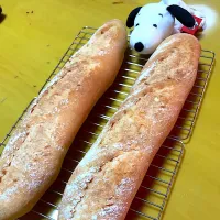 Snapdishの料理写真:バゲット修行🥖メリメリはまだまだ🤣|くみぽんさん