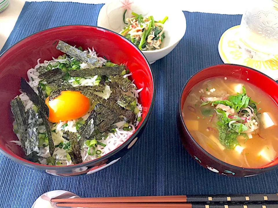 しらす丼
 #しらす丼  #旬の野菜  #かまあげしらす  #生卵 のせ #冷汁|maikoさん