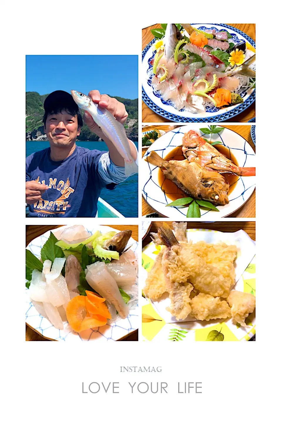 今年はジャンボキス🐟😻
民宿料理最高❣️「南伊豆 鈴昇さん」|アライさんさん