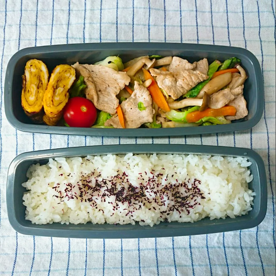 肉野菜炒め弁当|jun(・x・)さん