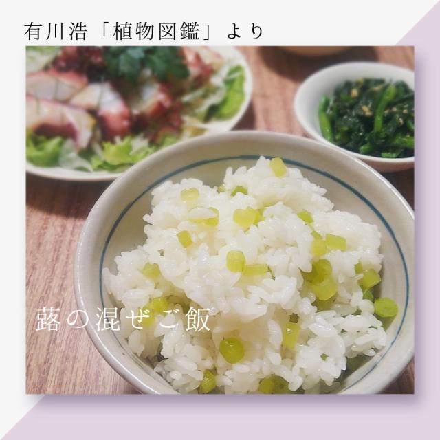 植物図鑑のレシピと料理アイディア24件 Snapdish スナップディッシュ