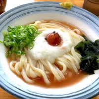 Snapdishの料理写真:梅とろろぶっかけうどん 冷|INAさん