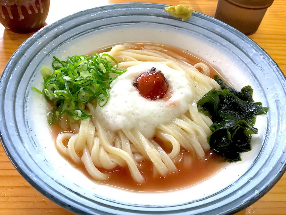 Snapdishの料理写真:梅とろろぶっかけうどん 冷|INAさん