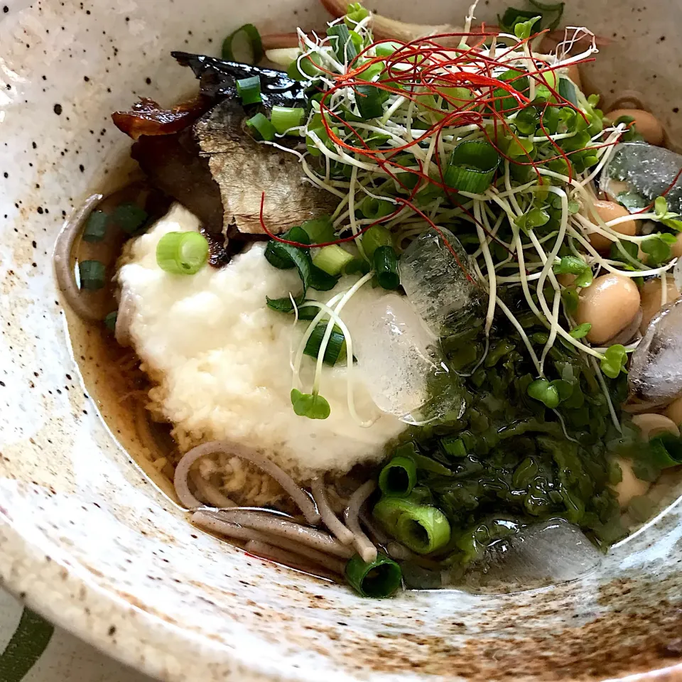 鰊、とろろ、ミョウガ、蒸し大豆トッピングのぶっかけ蕎麦〜💕|てるみさん