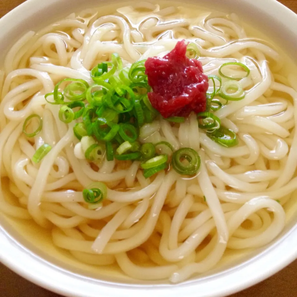 シンプルうどん🍲熱くも無く、冷たくも無く ぬる〜いうどんだょ〜😆👍🏻|まいりさん