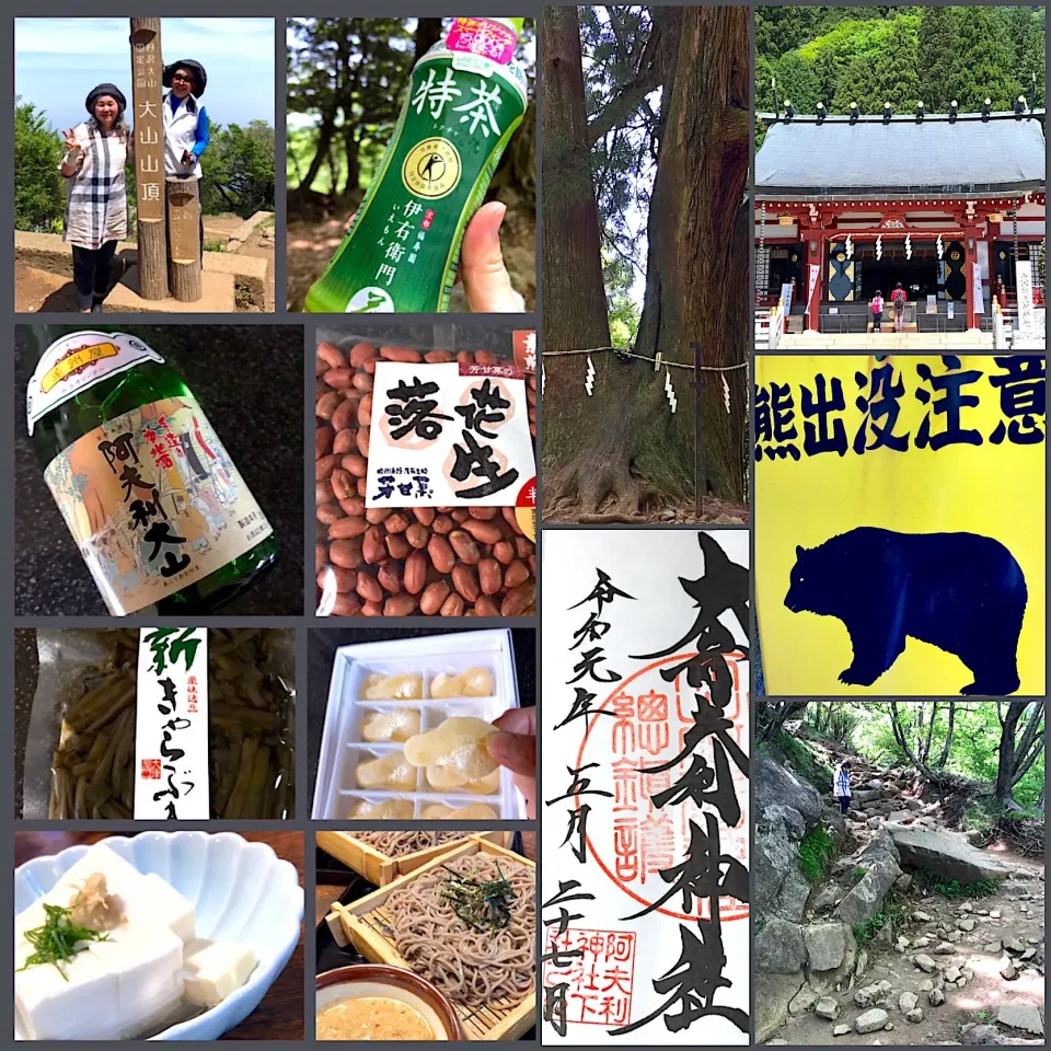 江戸時代からの山岳信仰の山 大山
登ってから大山豆腐食べました|シュトママさん