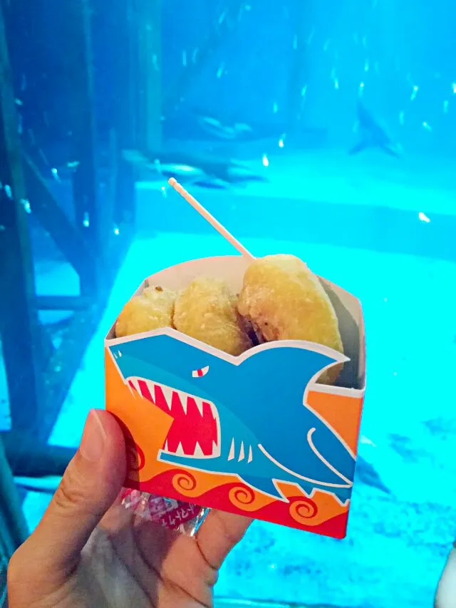 須磨水族園　シャークナゲット|korinoさん