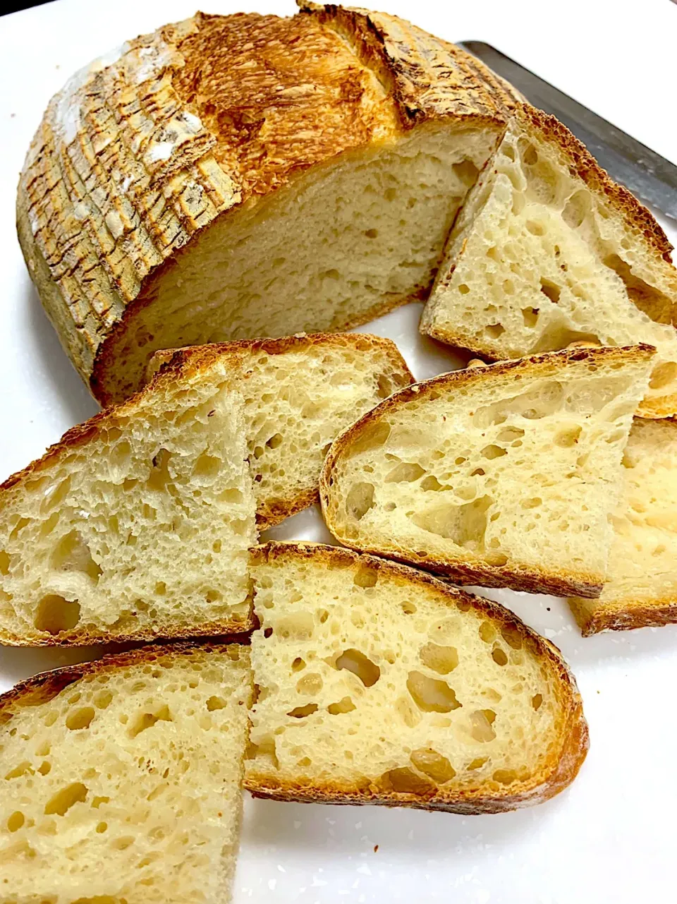 My Basic Sourdough Bread|gonbenさん