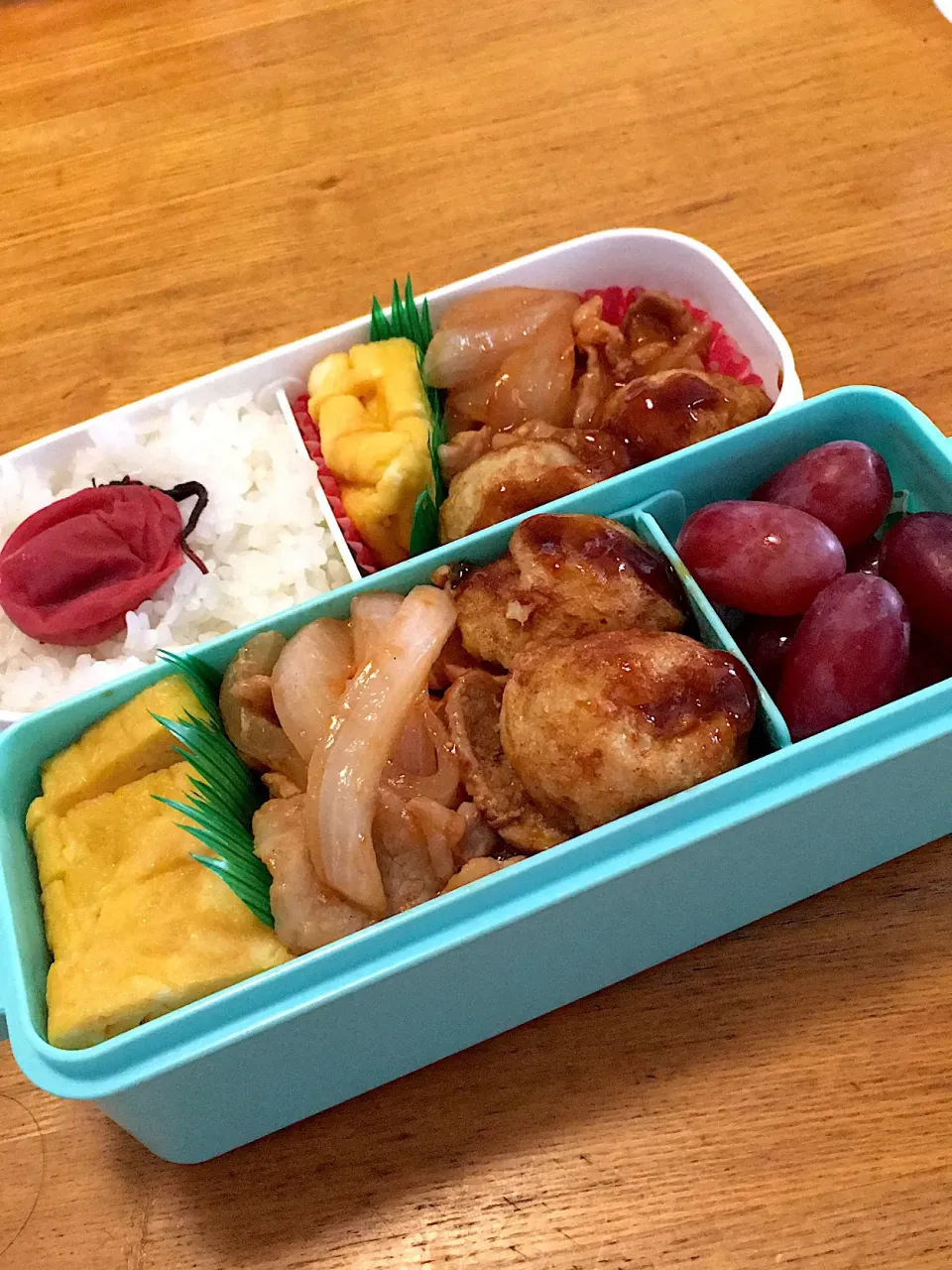 Snapdishの料理写真:5/28のお弁当|mywさん