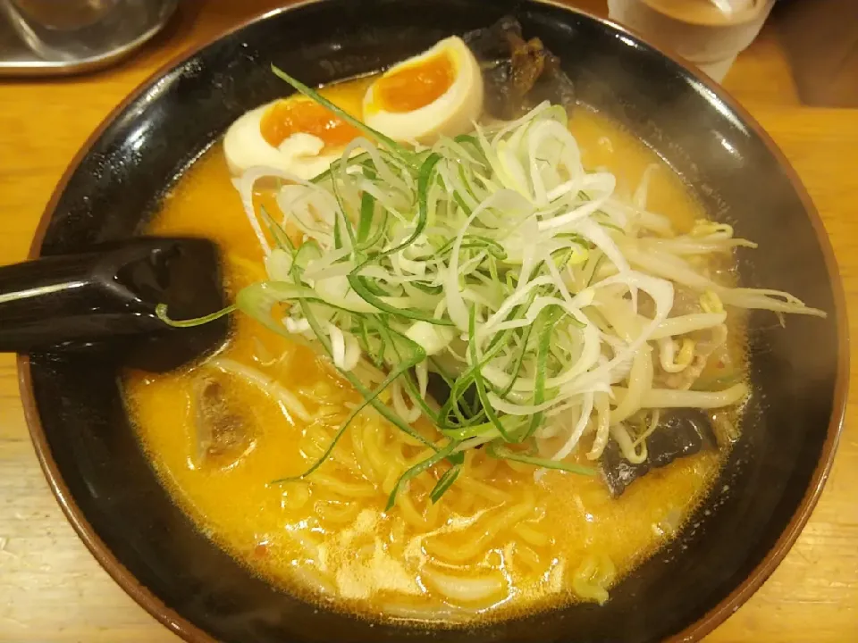 味噌オロチョン　味付半熟卵トッピング　@北海道らーめんひむろ　秋葉原|watarunさん