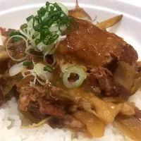 Snapdishの料理写真:肉煮込み丼|ヨコハマスリーエスさん