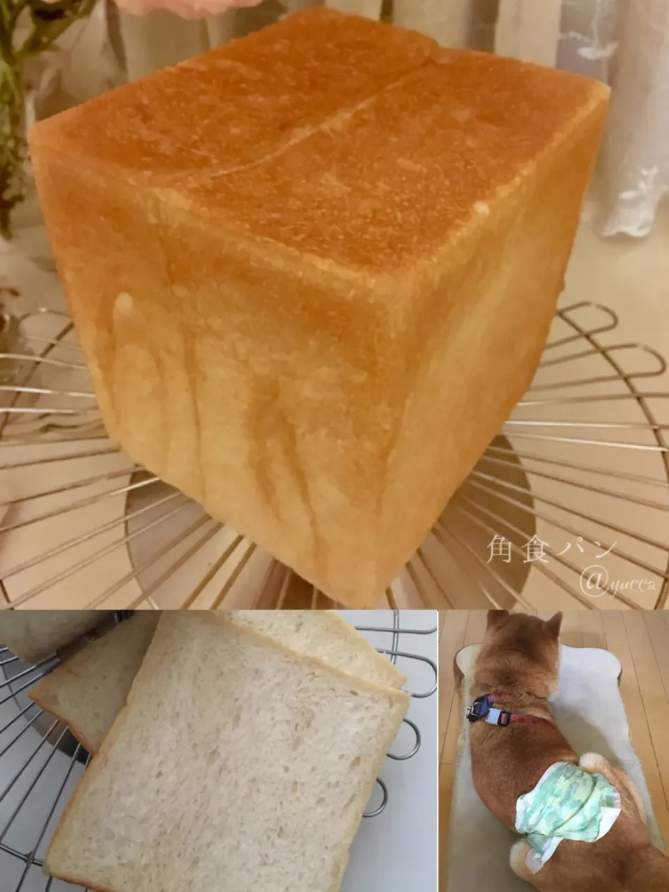 Snapdishの料理写真:角食パン🍞|yucca@さん