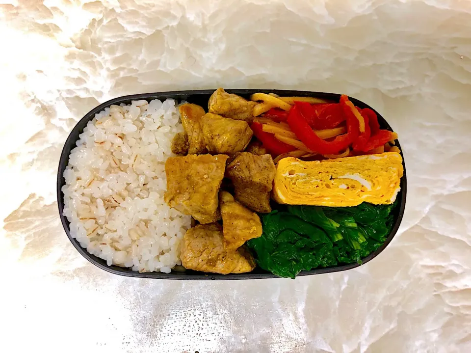 今日のお弁当5/29|としぼーさん