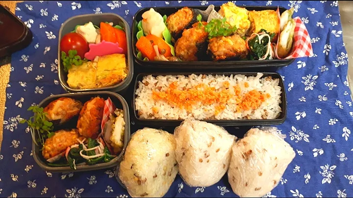 Snapdishの料理写真:高2&中3   男子お弁当|みなみなさん