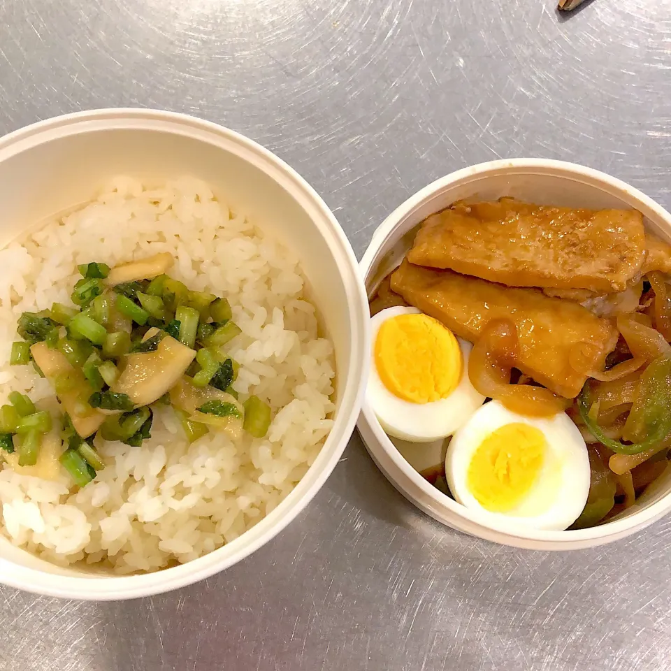 2019/5/29 浪人生応援しょうが焼き弁当|すずちゅんさん