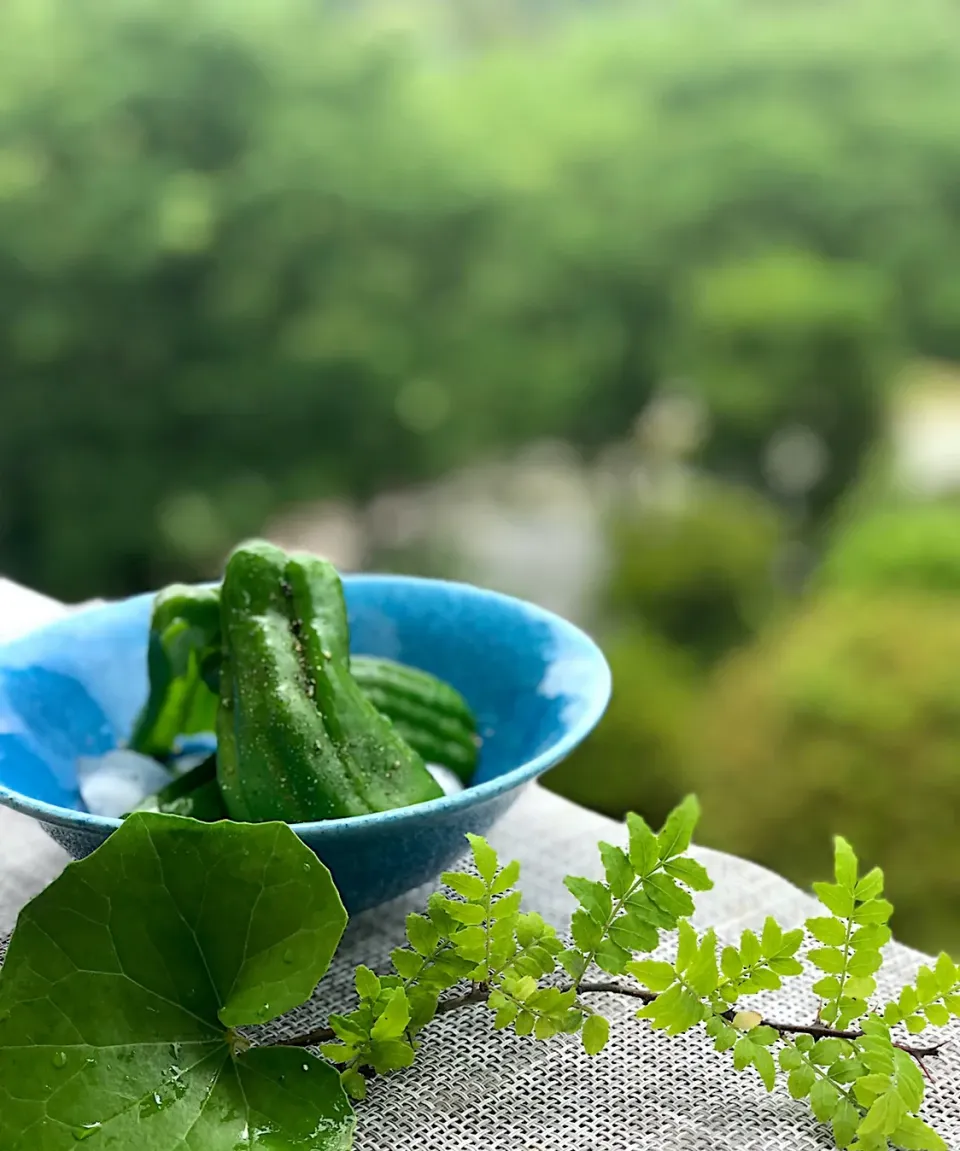 Snapdishの料理写真:とまと🍅さんの料理 ユッキーさんの料理 冷やしピーマン|シュトママさん