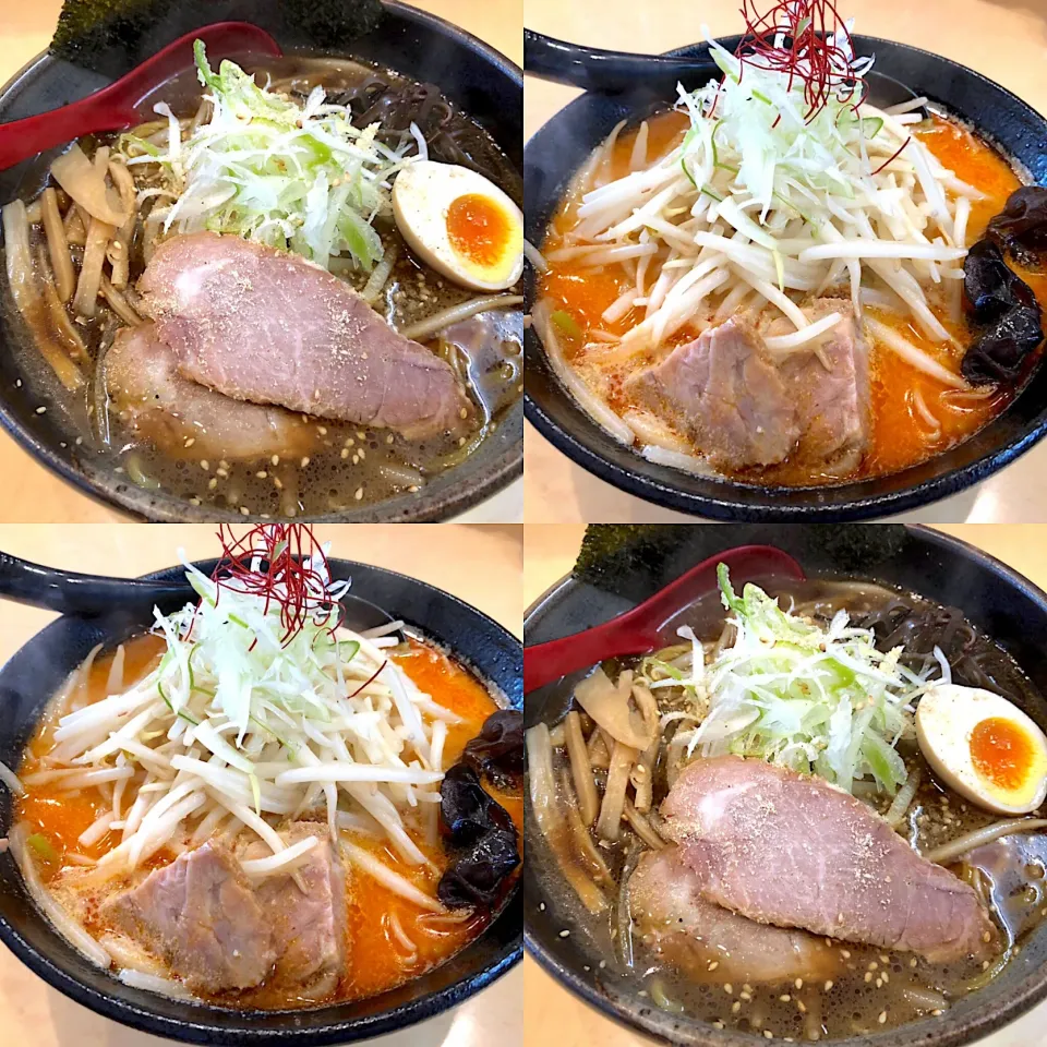 二代目 女 がじゅまる
こうばし醤油と辛味噌もやし増し
安定の美味さ#ラーメン#二代目女がじゅまる#味噌ラーメン #味噌ラーメン #札幌ラーメン|Yukie  Toriseさん