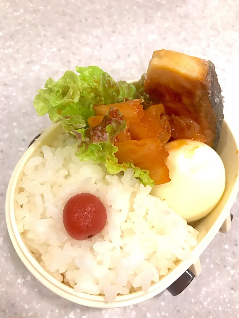 Snapdishの料理写真:2018,05,29 お弁当 #ゆで卵 #こんにゃくのコチュジャン炒め #焼鮭|ATSUMIさん