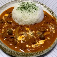 Snapdishの料理写真:ビーフストロガノフ