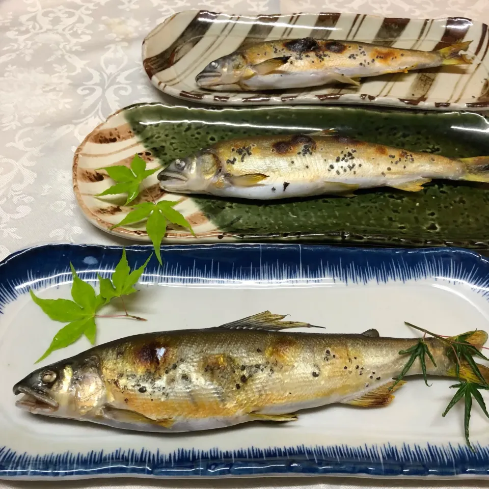 鮎塩焼き 🐟|henryさん