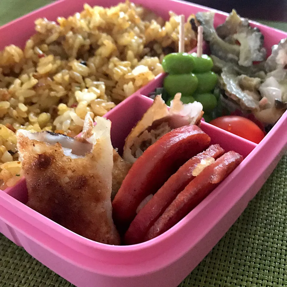 今日のお弁当🍱
ドライカレー
米粉の皮の棒餃子

折りたたみ傘を
持って出かけてね♪

今日も気をつけて
いってらっしゃい👋😊|mokoさん