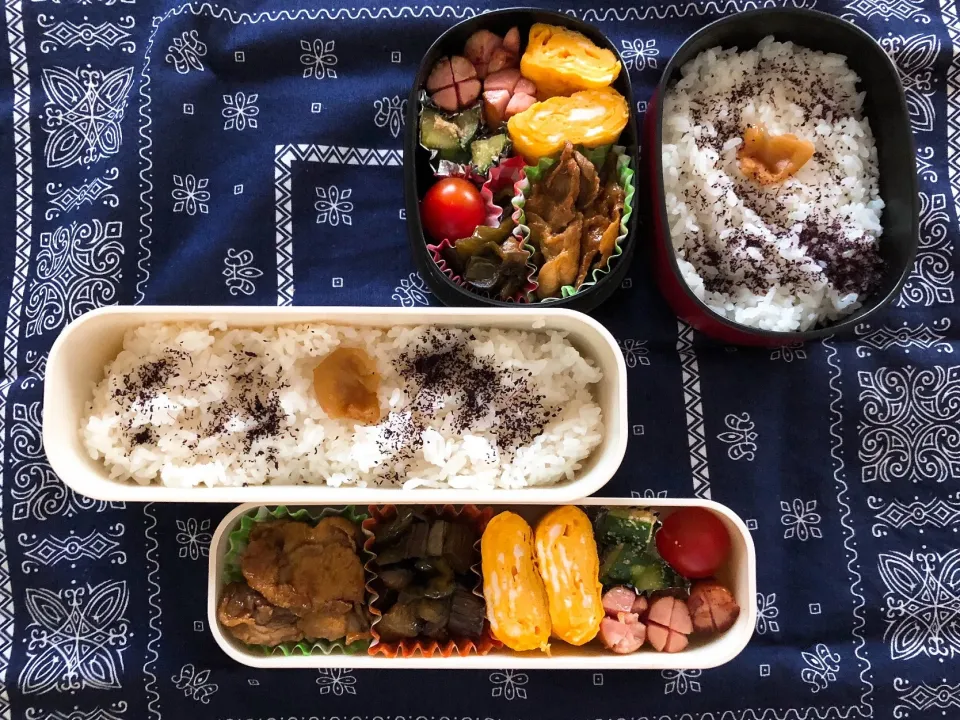 Snapdishの料理写真:2019/05/31(金) 夫弁当&娘弁当🎵|kiyominさん