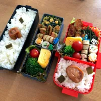 Snapdishの料理写真:お弁当🍱|わかなさん