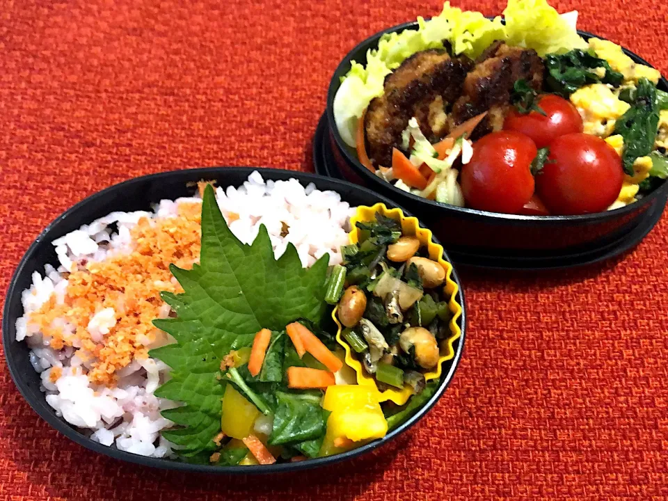 Snapdishの料理写真:5／31昼食 #昼ごはん #弁当   •豆腐入りハンバーグ/サラダ/小松菜と卵の炒め物  •鮭ふりかけご飯/大根菜とジャコ煎り大豆炒め/あり物野菜の浅漬け|おさんどんさん