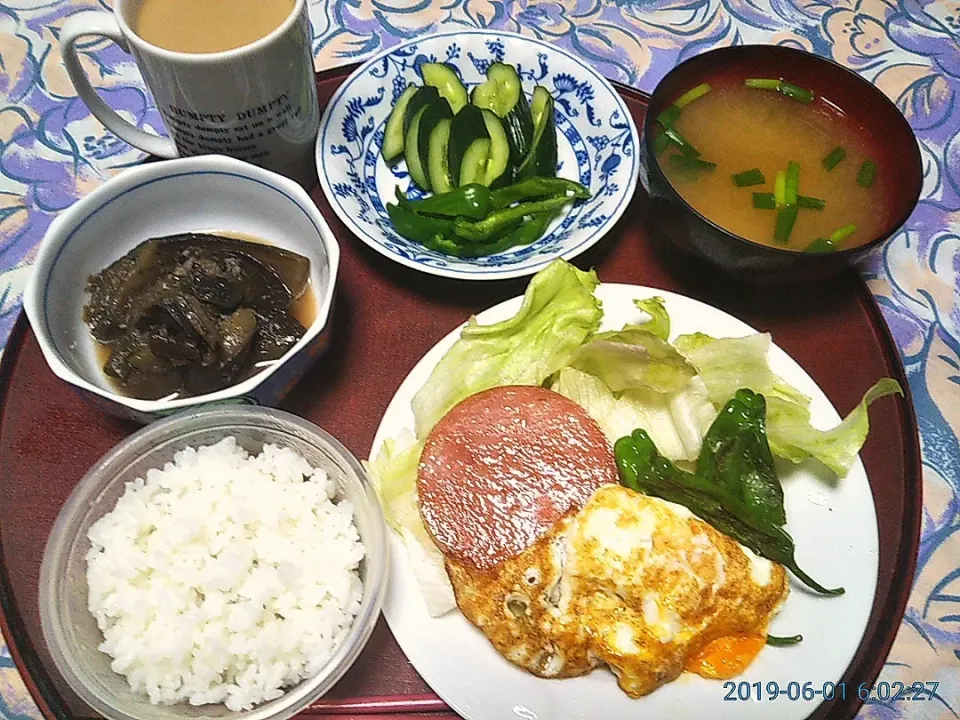 よねばーばの朝ごはん
きゅうりとピーマンの糠漬け
糠漬けをはじめました、
茄子の煮物
ポークハムと目玉焼き、レタス、ししとう添え|yoneばーばさん