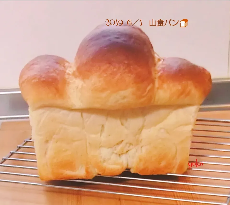 Snapdishの料理写真:おデブな山食パン🍞(^。^;)|容子さん