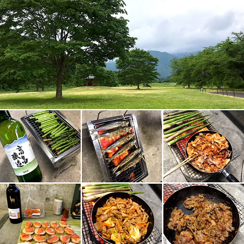 キャンプ⛺️の晩御飯|wildcat山猫さん