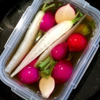 ラディッシュのピクルス