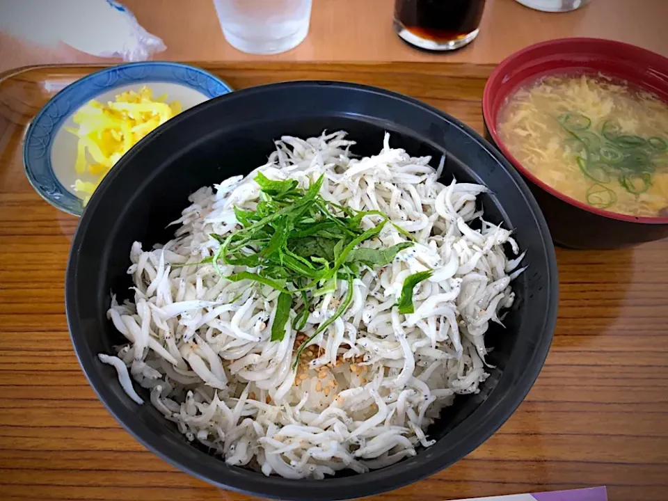 垂水漁港の釜揚げしらす丼|^_^みやままさん