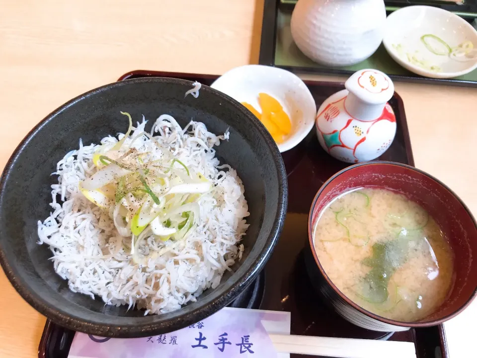 鎌倉のしらす丼|Rieさん