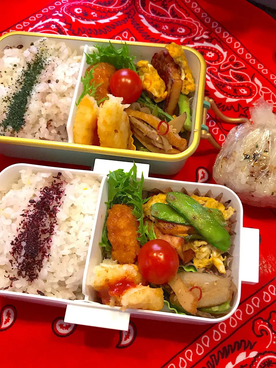 Snapdishの料理写真:2019.6.3  JK＆自分弁当～さつまあげとごぼうのきんぴら🎶|rinrin*mama*さん