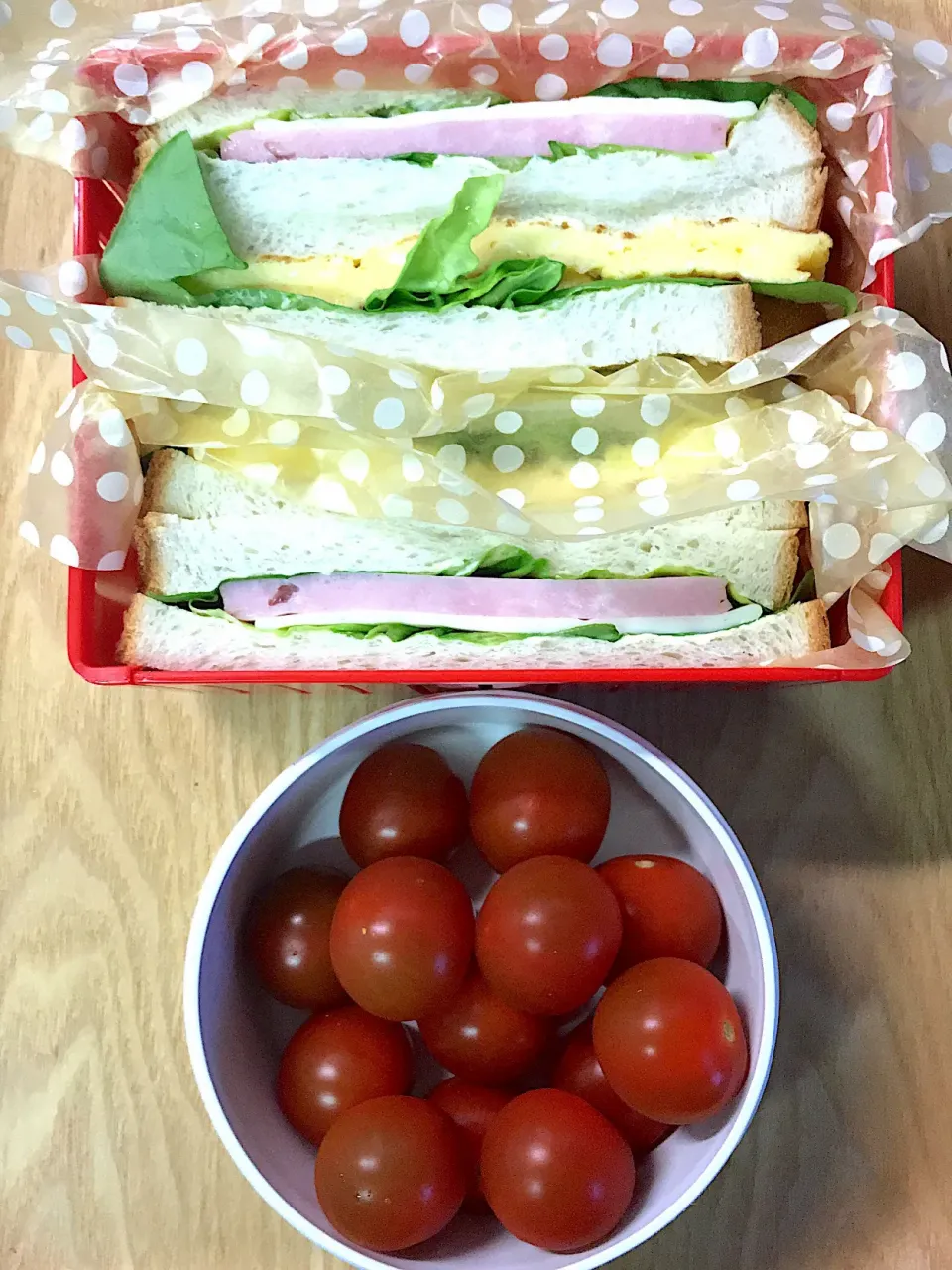 娘用 お弁当(229)|トモさん