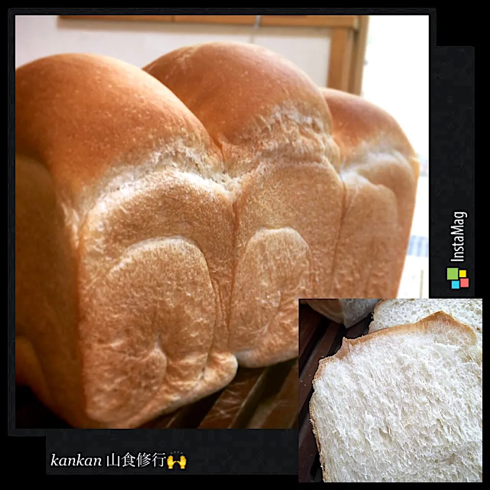 ホップ種で山食修行🍞🙌|カンカンさん