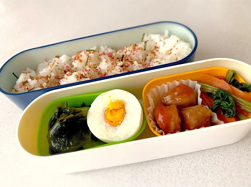 5/29 お弁当|あずささん