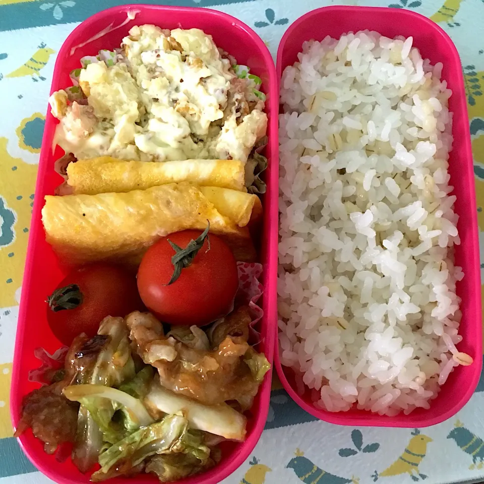 Snapdishの料理写真:190603お弁当|mioさん