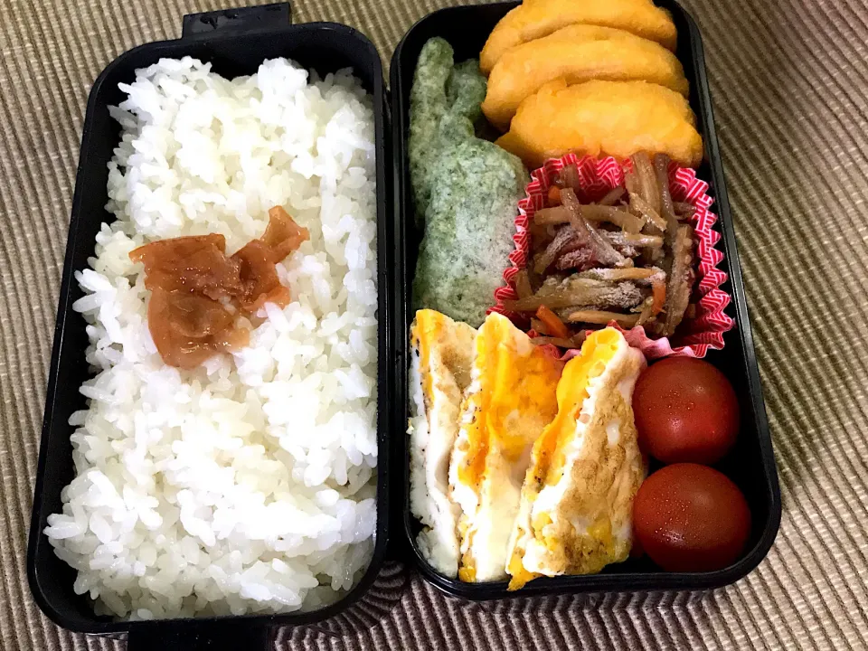 Snapdishの料理写真:6/3 #オヤジの弁当  #夜勤弁当|みぽりんさん