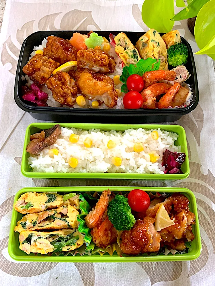 #お弁当 
 #男子部活お弁当。姉おまけお弁当。 
今日のお弁当
タレ漬け唐揚げ丼、具沢山卵焼き、揚げずにエビフライ🦐、別添えおにぎり大。|yukaさん