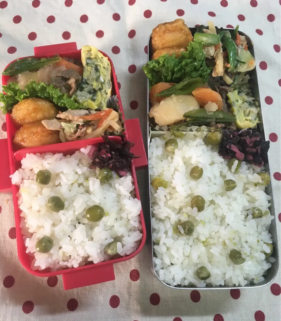 6月4日 今日も晴天弁当🍱|sakuramochiさん