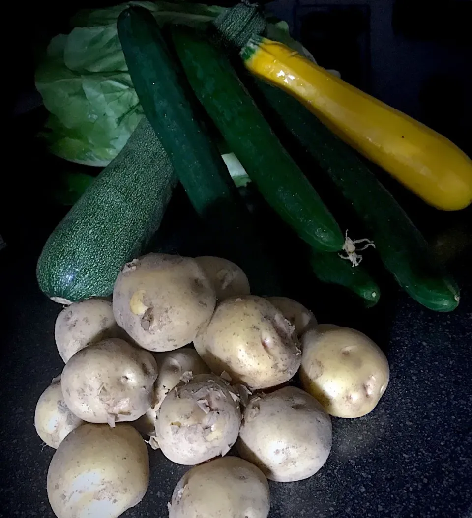 農家さんで買ってきた採れたて野菜|シュトママさん