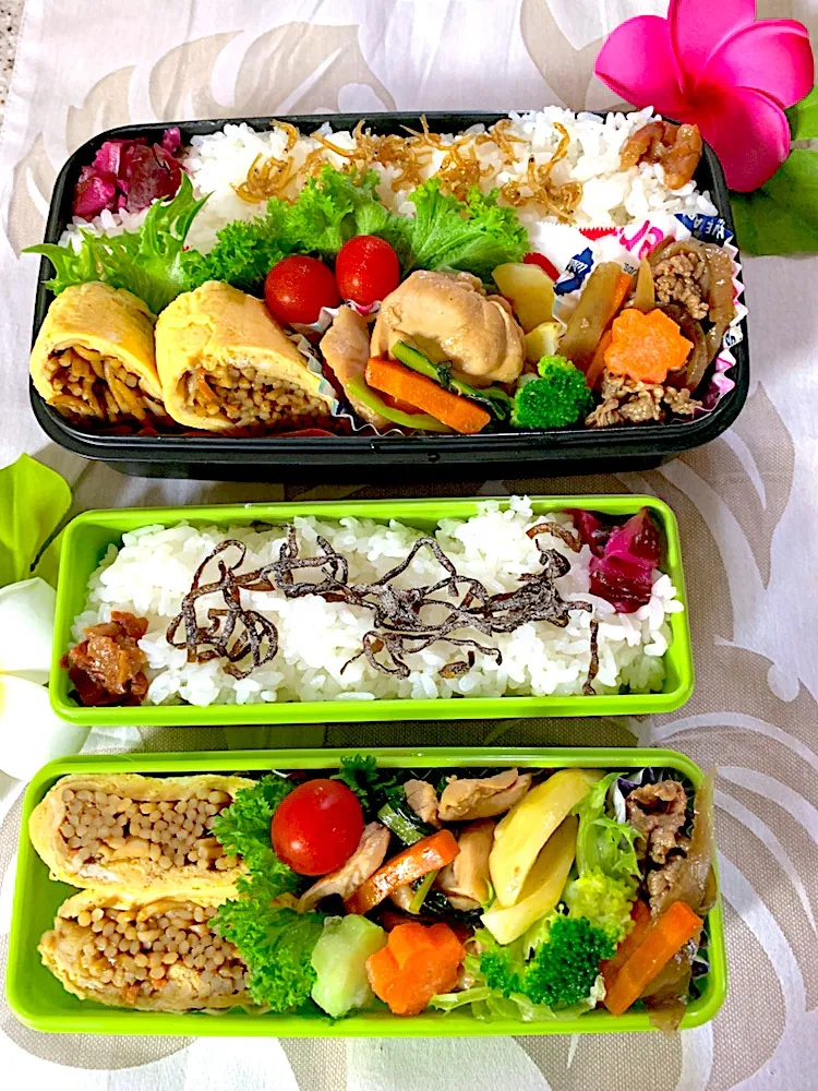 #男子部活お弁当。姉おまけお弁当。 
 #お弁当 
今日のお弁当
オムそば、ムネ肉のオイスターソース炒め、肉多めきんぴら牛蒡。手作りちりめん山椒ご飯。|yukaさん