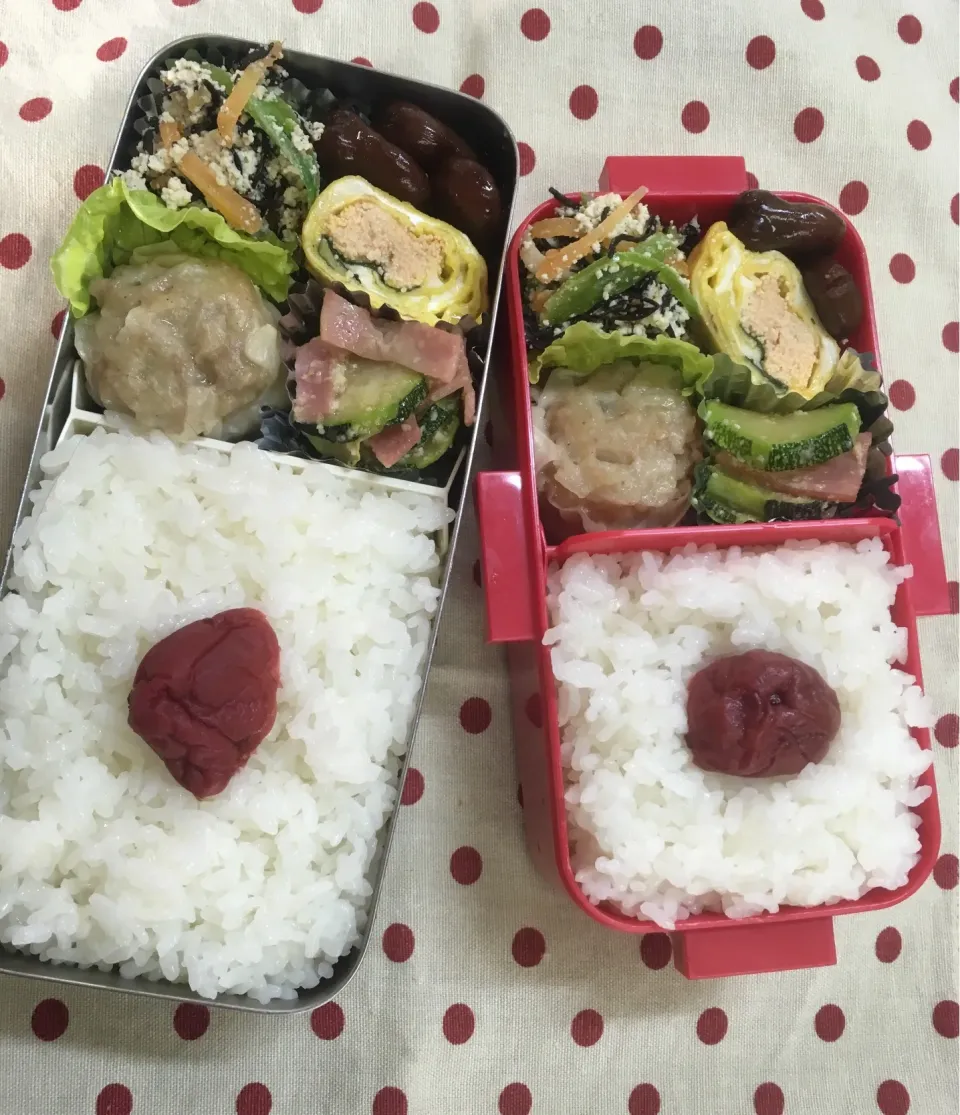 Snapdishの料理写真:6月5日 週の中日弁当🍱|sakuramochiさん