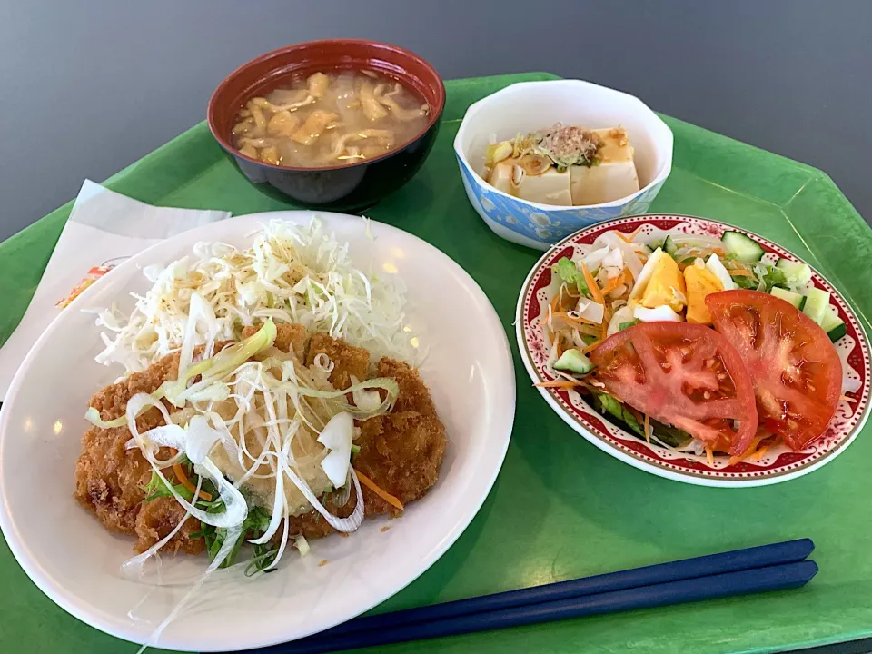 和風ねぎおろしとんかつ、冷奴、ミックスサラダ、味噌汁|Tadahiko Watanabeさん