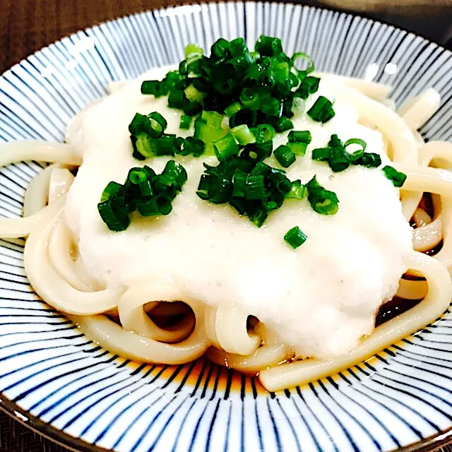 冷やしとろろうどん
#冷やしとろろうどん|いちごさん