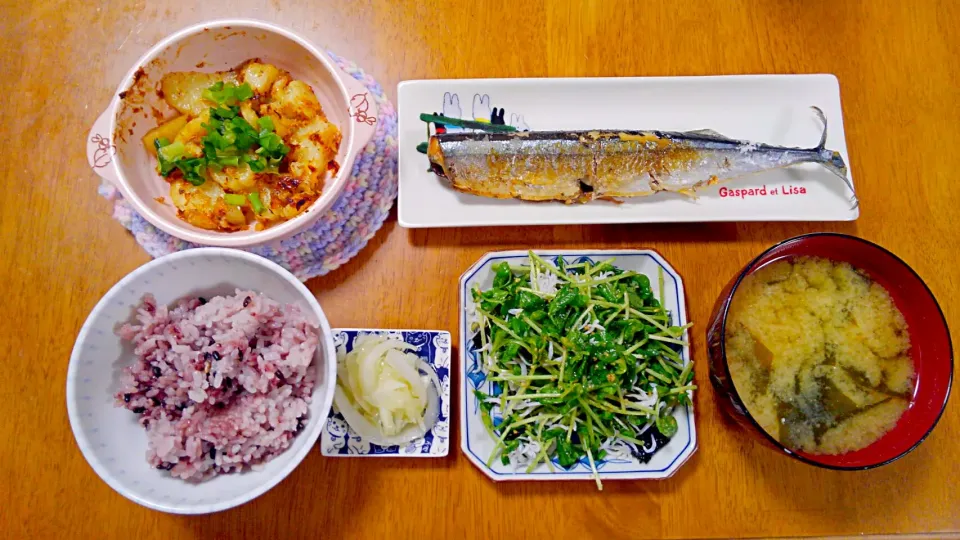 ６月３日　さんまの塩焼き　じゃがいものマヨ焼き　豆苗サラダ　玉ねぎマリネ　えのきとわかめのお味噌汁|いもこ。さん