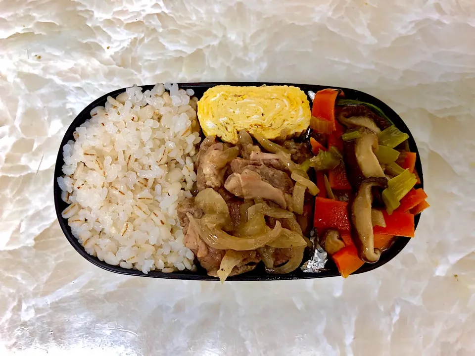 今日のお弁当6/6|としぼーさん