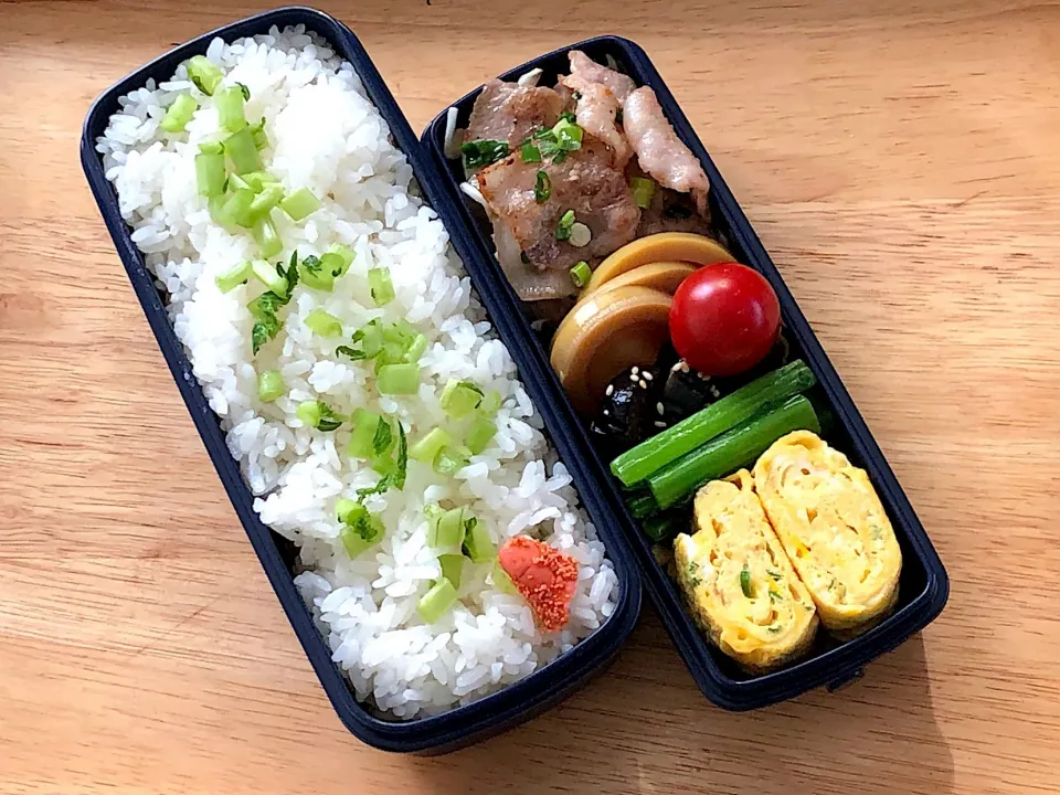 豚バラのネギ塩ダレ 弁当|弁当 備忘録さん